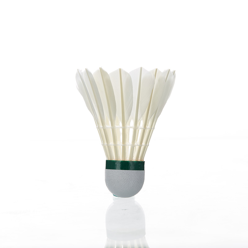 Kawasaki Feather Shuttlecock 8 - Badminton Raket recension och pris
